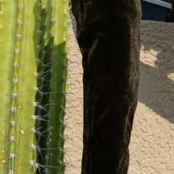 Forever Link Boots Jalenh5 Olive Velvet Over The Knee Short Heel Boot