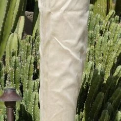 ATHENA Boots M668 Nude Embroidered Thigh High Tall Platform Boot