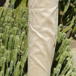 ATHENA Boots M668 Nude Embroidered Thigh High Tall Platform Boot